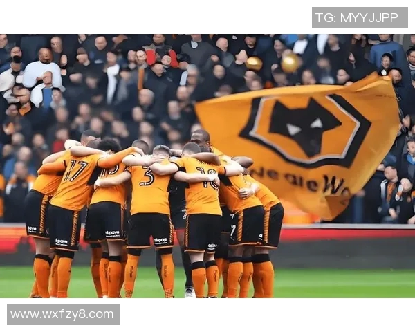 布莱顿对阵狼队赛事分析与推荐策略详解